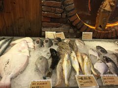 -福来齐·鲁菜海鲜·渔家菜(朝阳街分店)