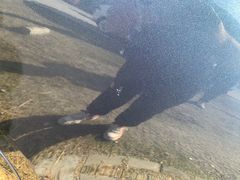 -前小桔亲子创意农场·草莓采摘·露营烧烤