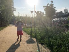 -前小桔亲子创意农场·草莓采摘·露营烧烤