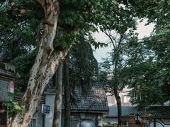 -莫干山风景区