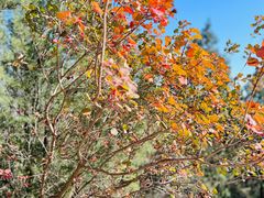 -鹫峰国家森林公园