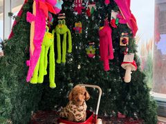 -omitofee咖啡(水泽店)