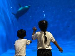 -华夏文旅海洋公园