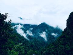 -井冈山风景名胜区