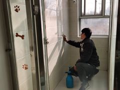 -北京京卫宠物寄养训练中心