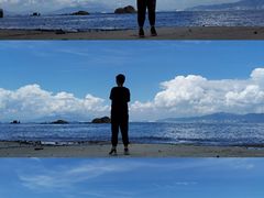 -广东惠东海龟国家级自然保护区