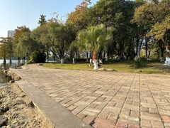 -飞来湖湿地公园