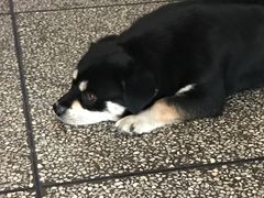 -好运来农家菜(吉林路店)