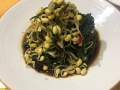 -十二毡房蒙餐·蒙古包