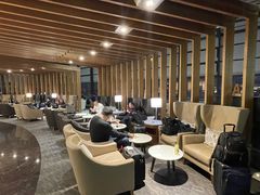 -虹桥机场国航贵宾室v8