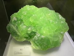 -湖南省地质博物馆