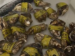 -众彩物流水产市场