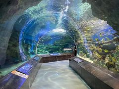 -海合安成都极地海洋公园