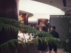 -二酉书店TOYOU BOOKS