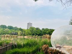 -Supine Bistro溯泮餐厅