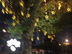 -IL Forno 意坊·意大利餐厅(花园店)