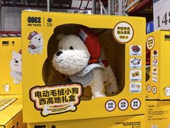 -山姆会员商店(亦庄创意生活广场店)