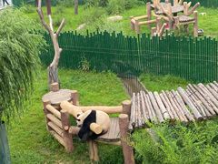 -沈阳森林动物园