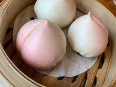 -广州富力君悦大酒店空中花园
