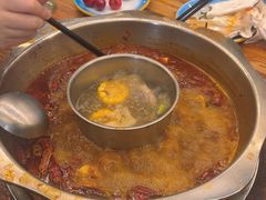 -金鼎雪山牦牛杂火锅(理县总店)