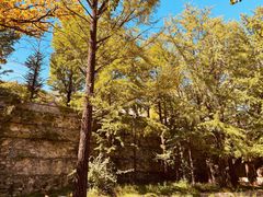 -阳台山自然风景区