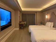 -成都九眼桥美居酒店