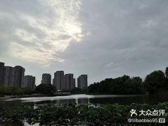 -新江湾城公园