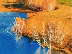 -塞罕坝国家级自然保护区