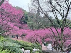 -重庆彩云湖湿地公园