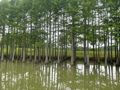 -苏州太湖国家湿地公园