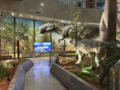 -湖南省地质博物馆