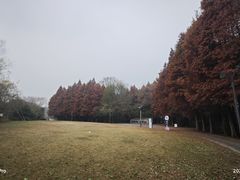 -溱湖国家湿地公园