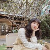 咖啡馆里的藏着一颗大树🌳