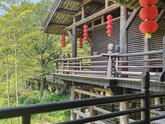 -大唐贡茶院