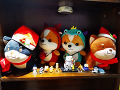 -逗柴咖啡屋·狗咖猫咖宠物桌游