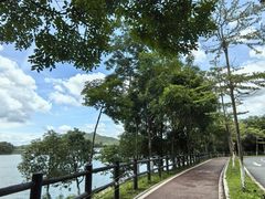 -凤岗南门山森林公园