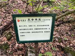 -龙道沟景区