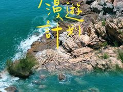 -广东惠东海龟国家级自然保护区