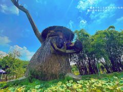 -红山村