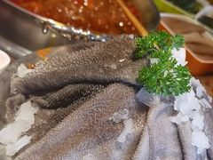 -懂食汇自助火锅
