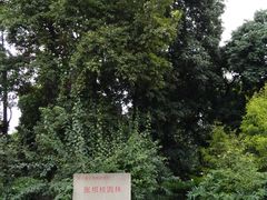 -张坝桂圆林公园