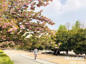 春日踏青去哪里呢。今天打卡南京航空航天大学