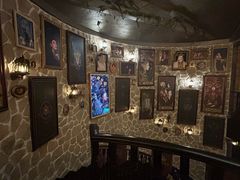 -雪灵魔法世界SHELLY’S TAROT(大良桂畔里店)