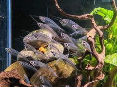 -太平洋海底世界