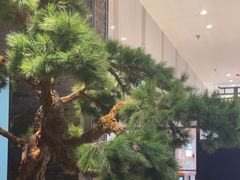 -绿茶餐厅(千岛湖银泰城店)