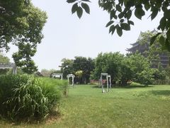 -长兴太湖图影湿地文化园
