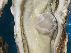 -山海经·海边人家 海鲜新青岛菜(扬州路店)