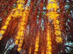 -天津意大利风情旅游区