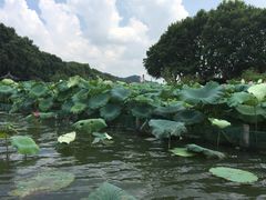 -西湖游船