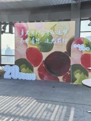 -鲸舞气球派对·宝宝宴·十岁生日布置·轻奢品牌形象店